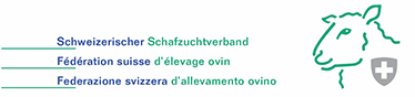 logo fseo